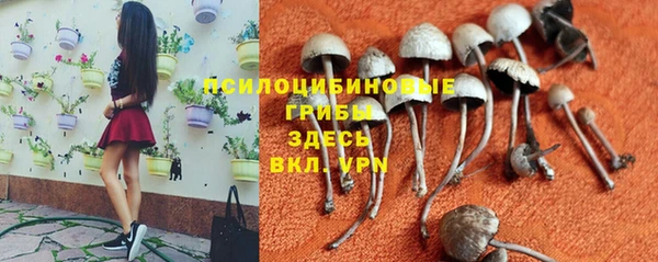 гашик Лиски